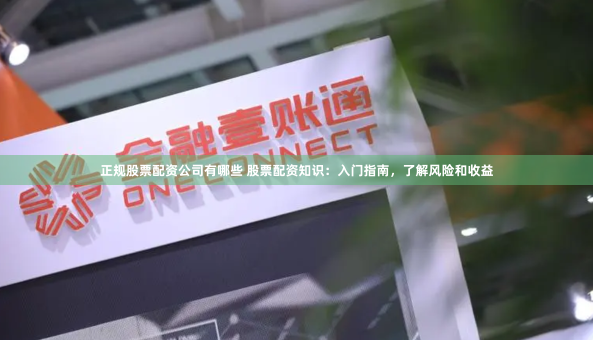 正规股票配资公司有哪些 股票配资知识：入门指南，了解风险和收益